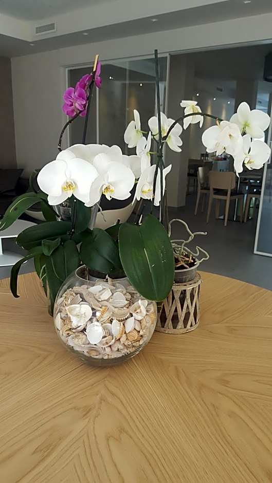 Hotel Villa Barsanti