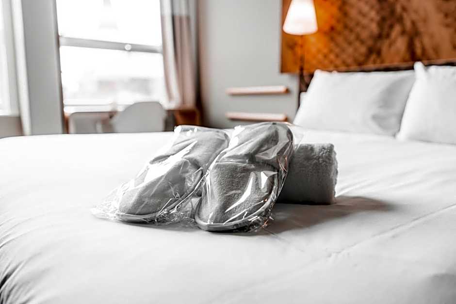 Ibis Den Haag City Centre