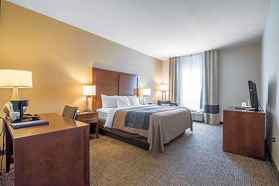 Comfort Inn Apalachin / Binghamton W Route 17