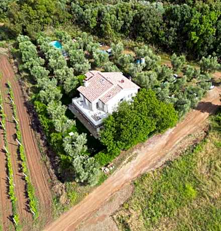 appartamenti in villa con piscina vicino al mare