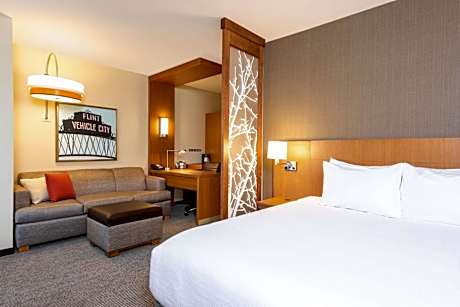 King Room with Roll-In Shower and sofa bed - Disability Access