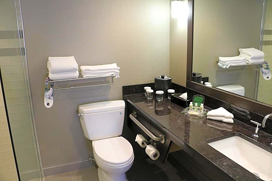 Holiday Inn Calgary Airport By IHG