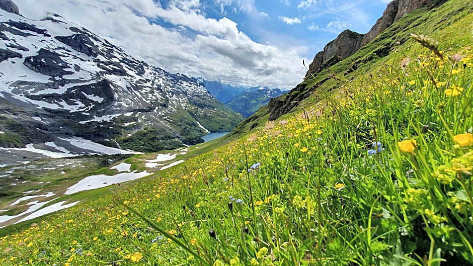 Parkhotel Du Sauvage