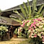 Bed and Breakfast Chiang Rai