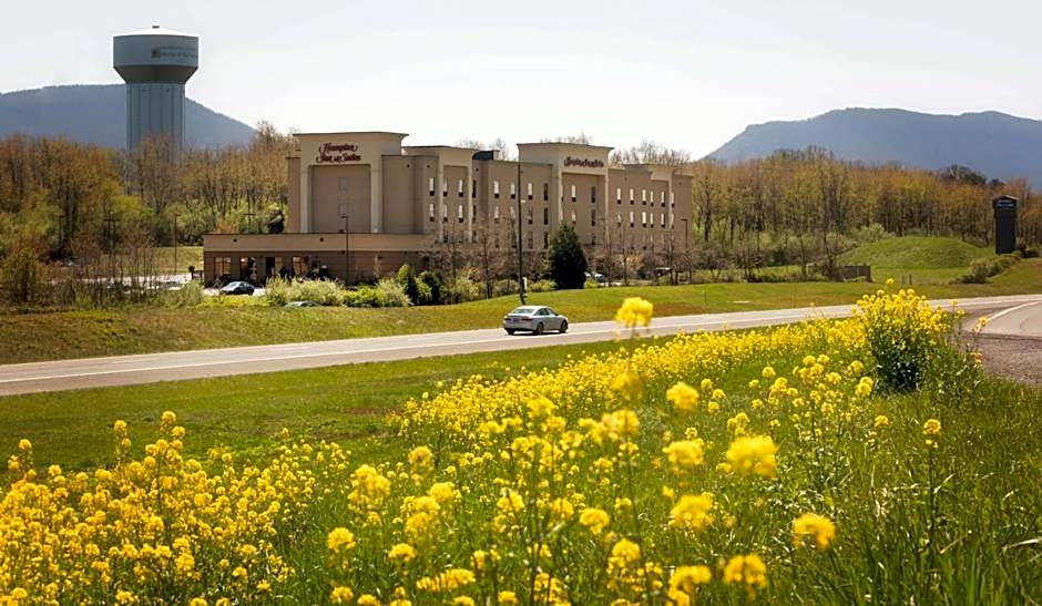 Hampton Inn By Hilton And Suites Woodstock