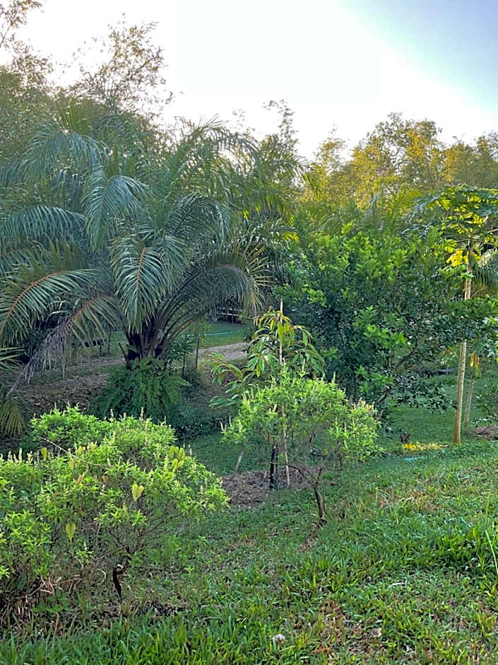 สวนลุงวรRanongGlamping