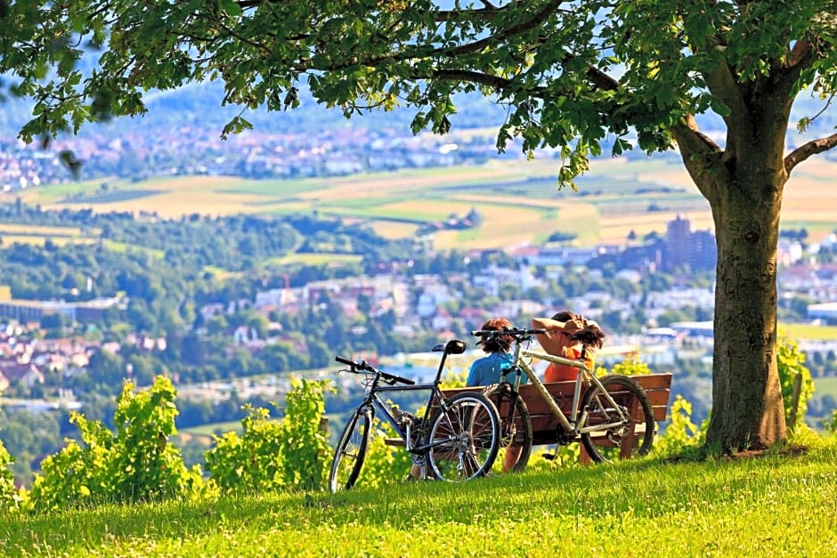 Holiday Inn Express Stuttgart - Waiblingen By IHG