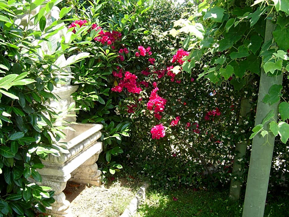 B&B Villa Fantasia
