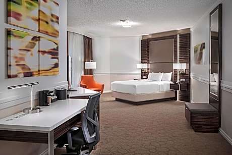 Room, 1 King Bed