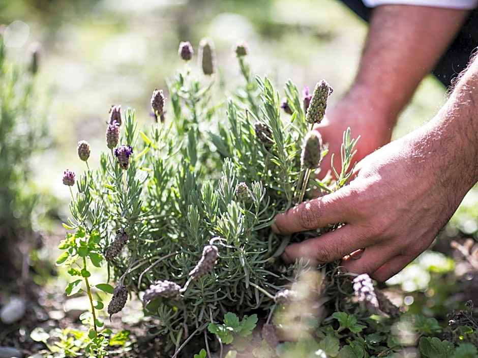 Landhotel Jäger TOP