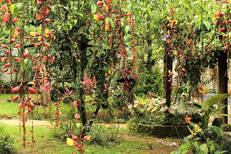 Pousada Ponte Branca