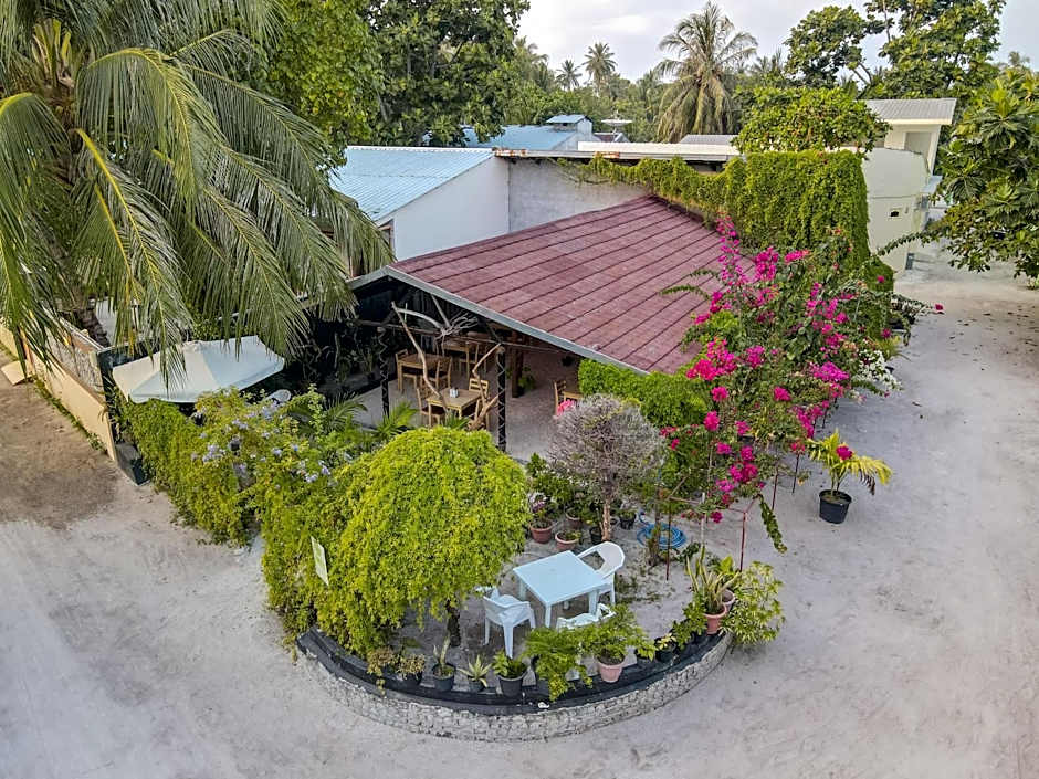 Turtle Maldives - Your Gateway to the Beach & Marine Adventures Await!