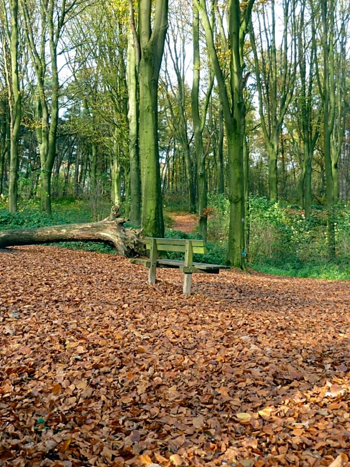 Entre monts et collines B&B et spa en option