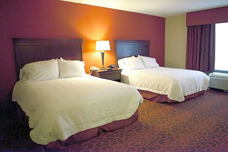 Hampton Inn By Hilton Rochester-Webster