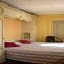 Logis-Cit'Hôtel des Vosges 5 rue de la gare