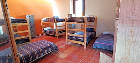 Single Bed in Female Dormitory Room
