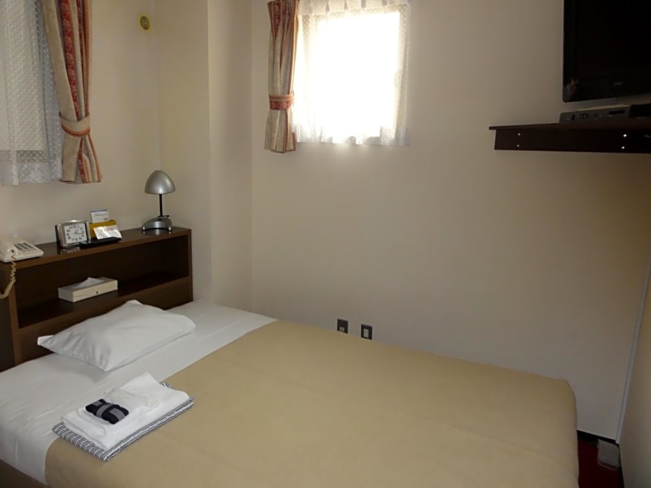 Hotel Yanagibasi