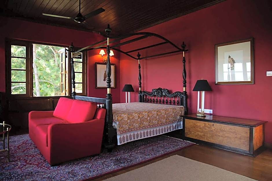 Photo 1 of 10 of Superior 1 King Bed