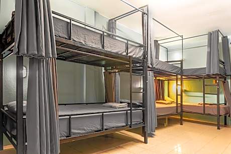 Bunk Bed in 6-Bed AC Dorm
