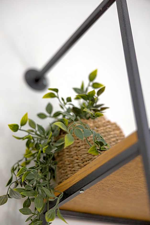 MELIGEO Suites Center of IOANNINA