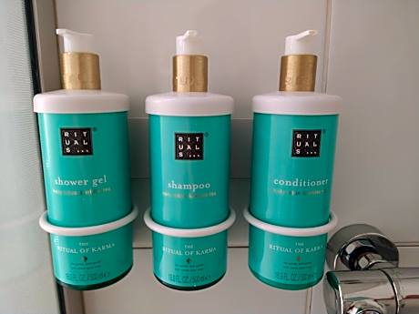 Suite with One Double Bed and Sofa Bed