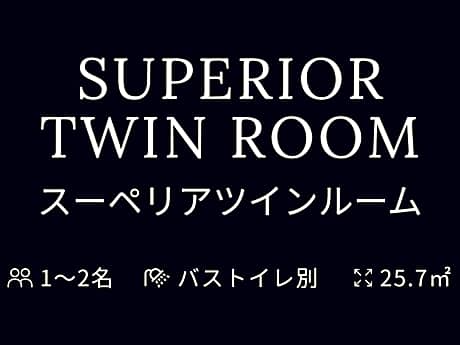Superior Twin Room