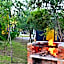 SleepOver Kruger Gate