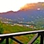 Crystal Hill R