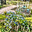 Eagle House - Award Winning B&B and Apartment