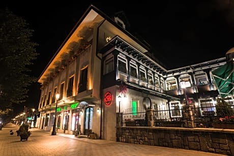 Hotel Bucegi
