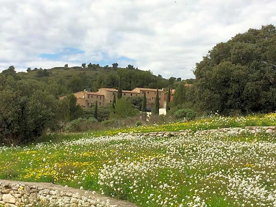 Les Garrigues de la Vallée des Baux