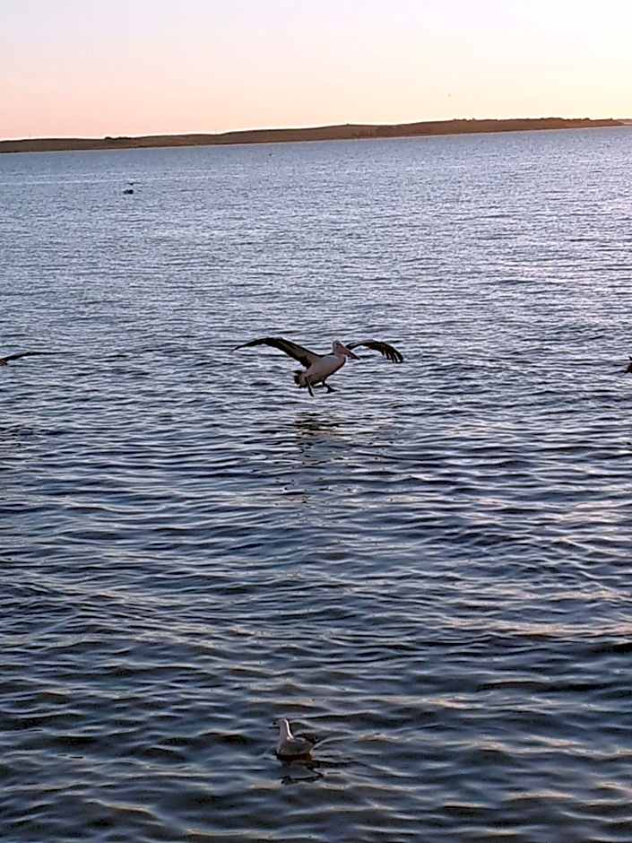 Meningie Waterfront Motel