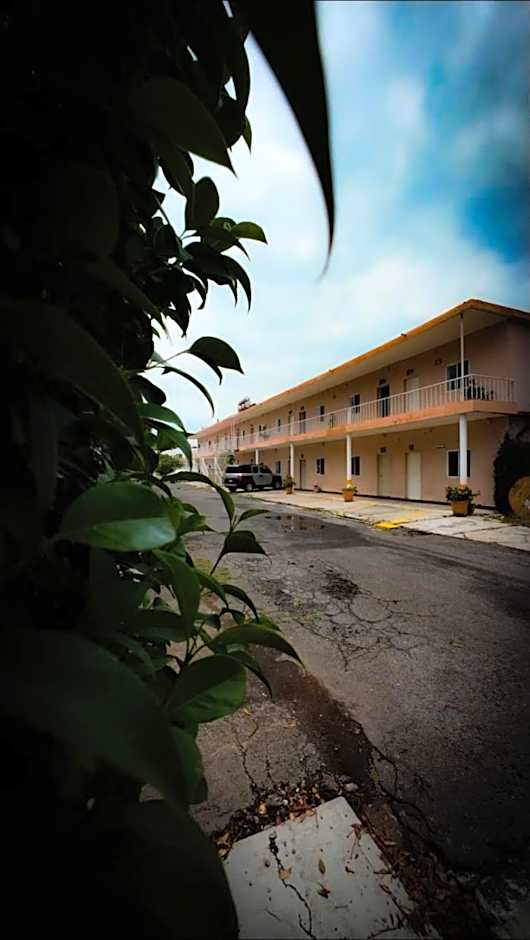 Hotel del Tajo