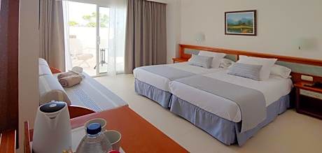 Superior Double or Twin Room with Pool View