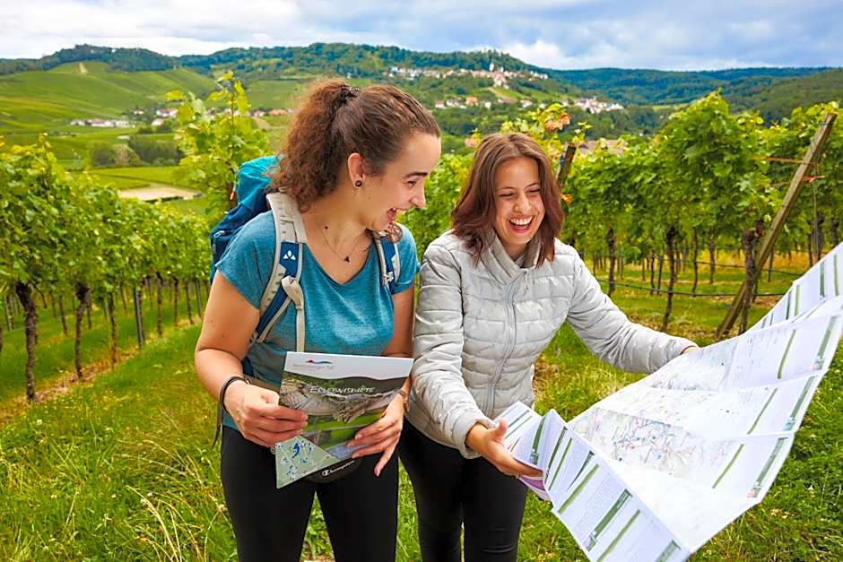 Flair Hotel Landgasthof Roger