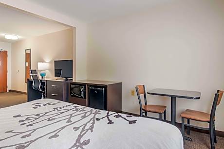 1 King Bed, Nonsmoking