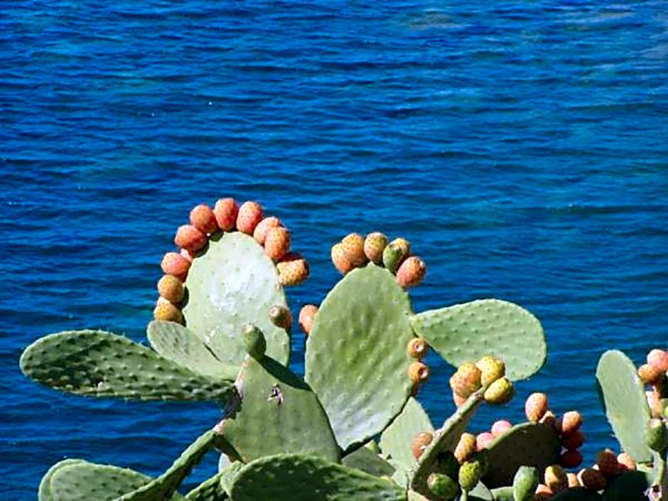 PFA Hotel Ginevra - Isola d'Elba