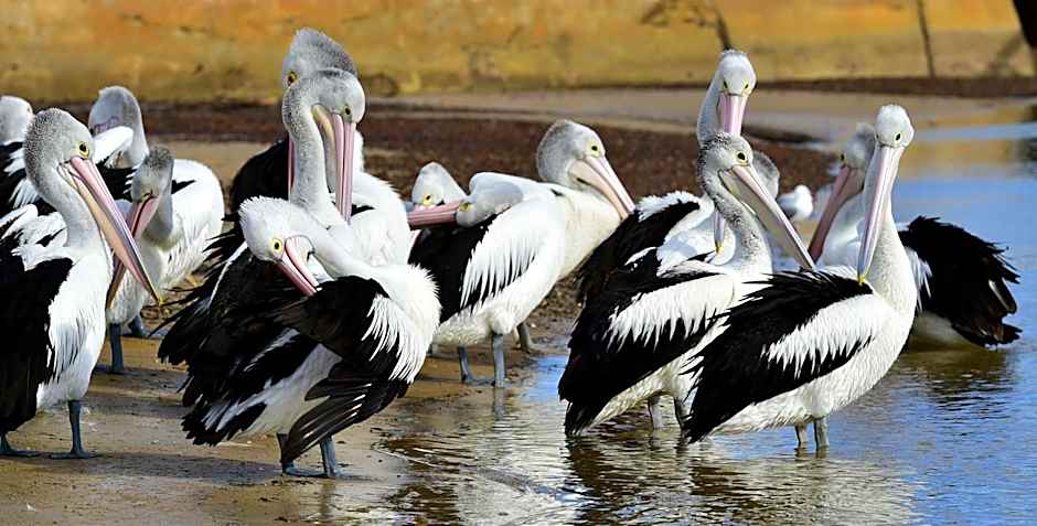 Apartments At Glen Isla