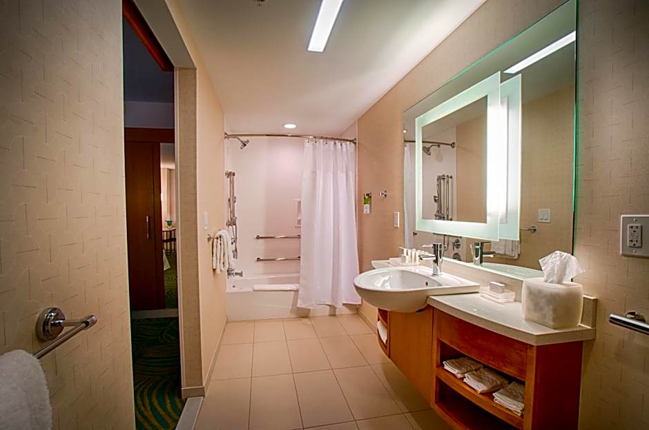 SpringHill Suites by Marriott Canton