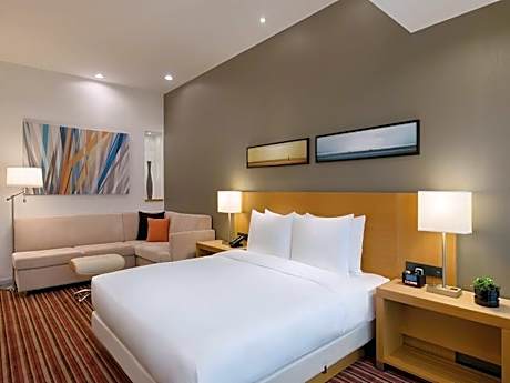 Specialty King Room with Sofa Bed