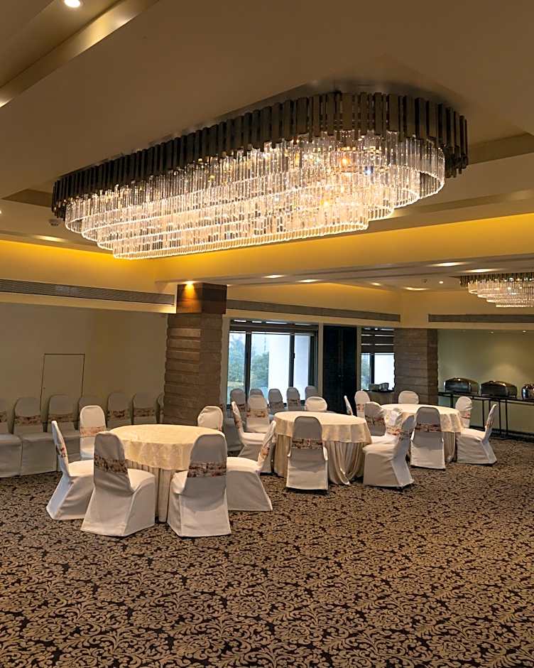 The International by Tunga