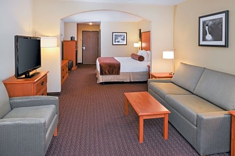 Suite-1 King Bed, Non-Smoking, Pillow Top Mattress, Second Bed Is A Sofabed, Microwave And Refrigera