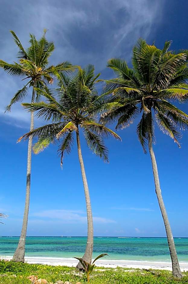 The Palms Zanzibar