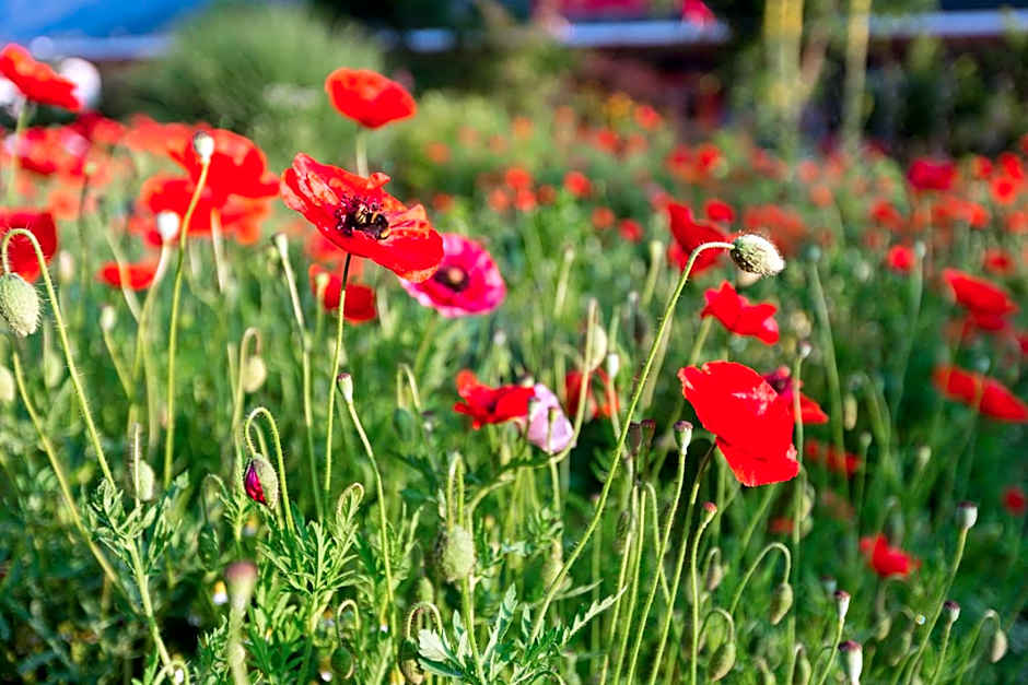 Garni - Hotel Rinner Julia