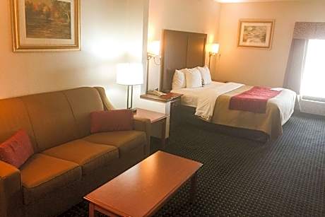 1 King Bed, Suite, Nonsmoking