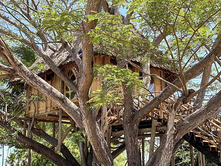 Antonio Beach Tree House Hotel & Spa