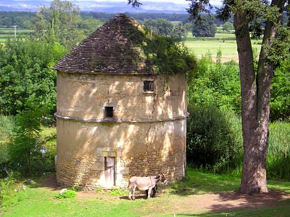 Chateau de Bresse sur Grosne