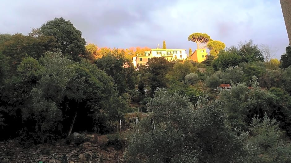 B&B Europa