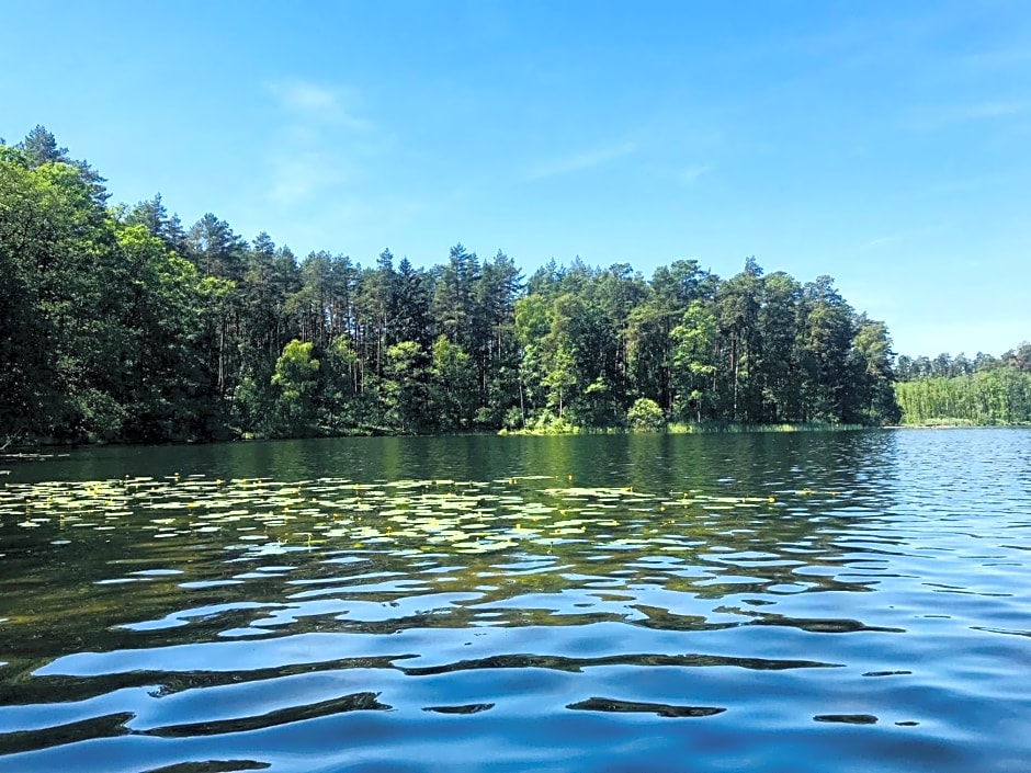 Samodzielny Dom Przy Lesie