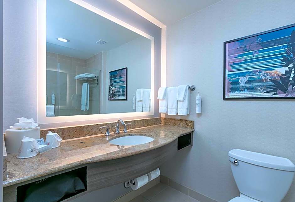 Hilton Garden Inn Dallas/Arlington